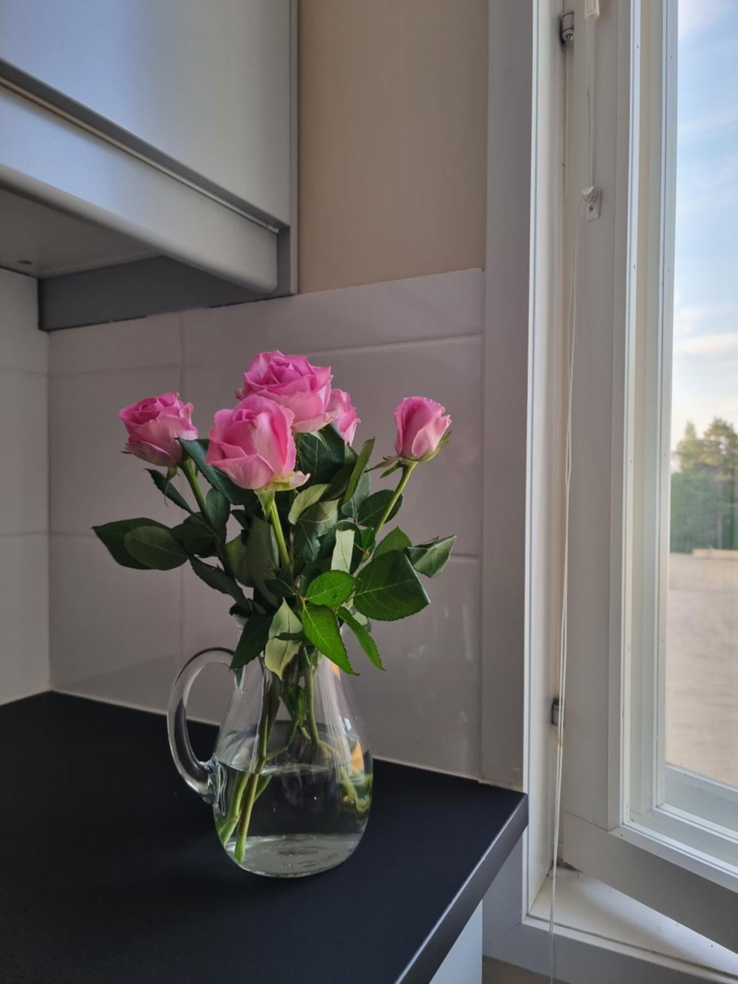 Kuukkeli Ivalo Airport Inn Buitenkant foto